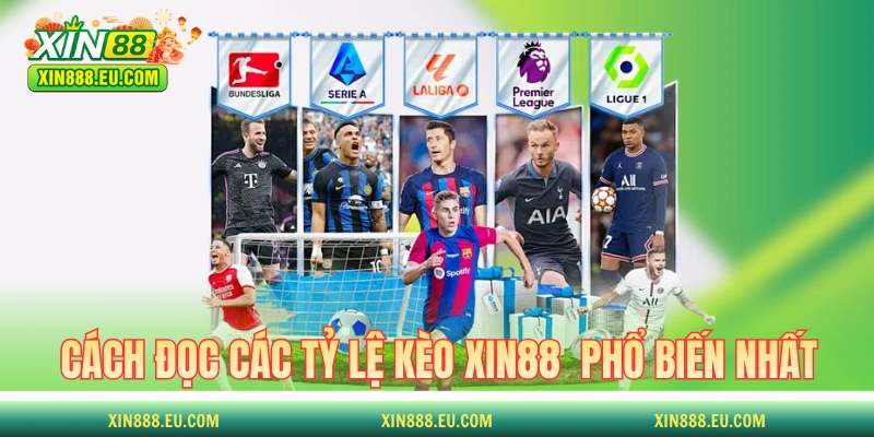Cách đọc các tỷ lệ kèo XIN88 phổ biến nhất